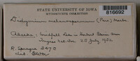 Image Associated With the Occurence
